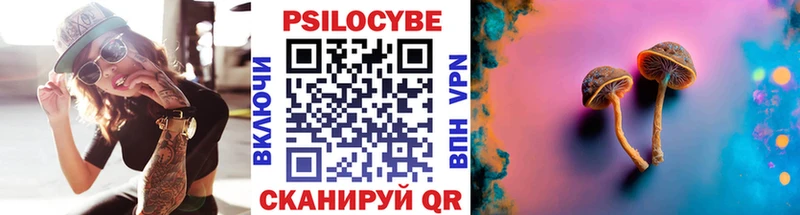 Псилоцибиновые грибы Psilocybe  наркошоп  Шумерля 